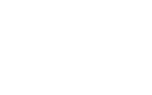 Aurora Wines Cauquenes Chile